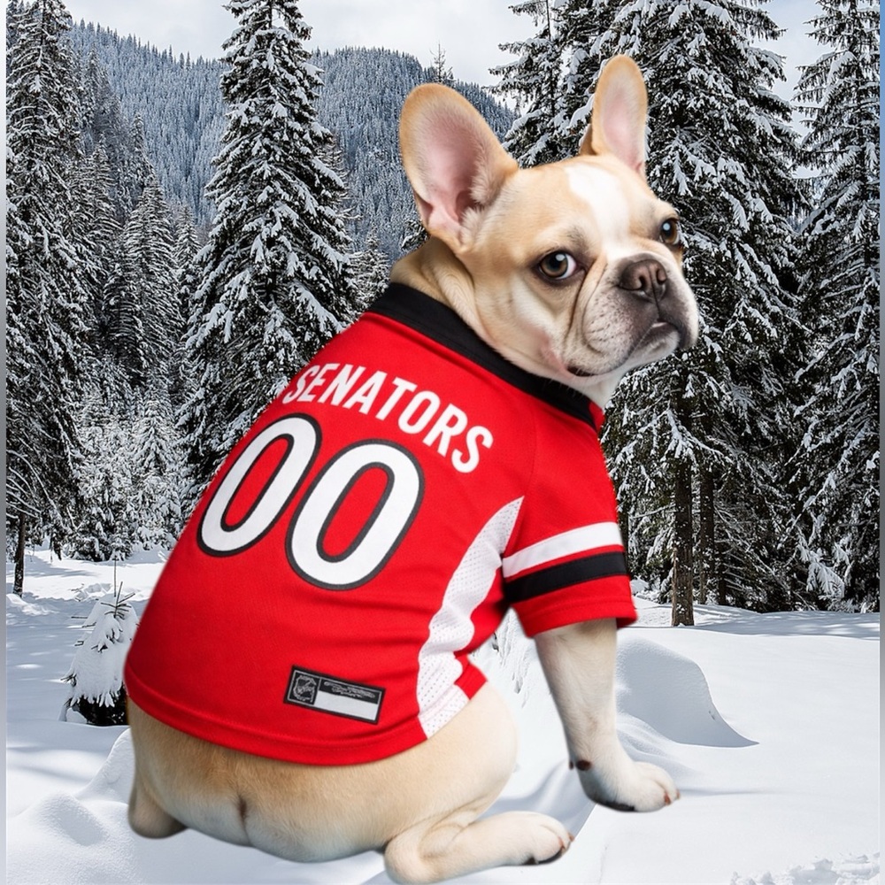 Ottawa Senators  Pet Jersey